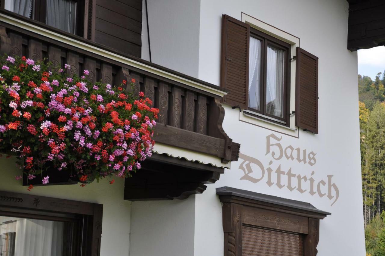 Haus Dittrich Διαμέρισμα Κίρχμπεργκ ιν Τιρόλ Εξωτερικό φωτογραφία